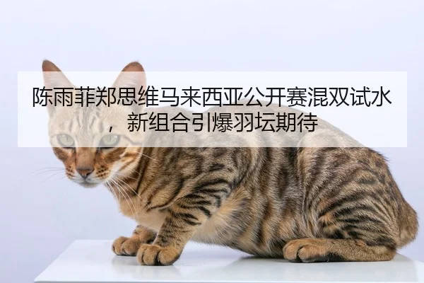 chen-yu-fei-zheng-si-wei-ma-lai-xi-ya-gong-kai-sai-hun-shuang-shi-shui-xin-zu-he-yin-bao-yu-tan-qi-dai-2-239.jpg
