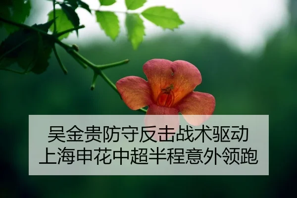wu-jin-gui-fang-shou-fan-ji-zhan-shu-qu-dong-shang-hai-shen-hua-zhong-chao-ban-cheng-yi-wai-ling-pao-2-427.jpg