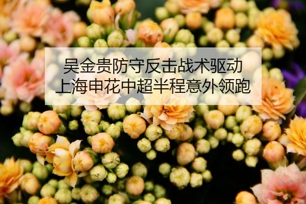 吴金贵防守反击战术驱动 上海申花中超半程意外领跑