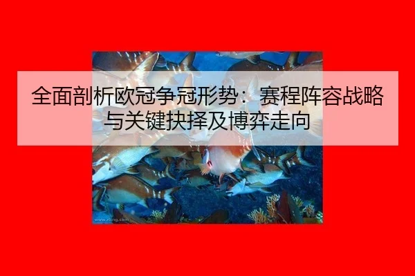 quan-mian-pou-xi-ou-guan-zheng-guan-xing-shi-sai-cheng-zhen-rong-zhan-lve-yu-guan-jian-jue-ze-ji-bo-yi-zou-xiang-2-260.jpg