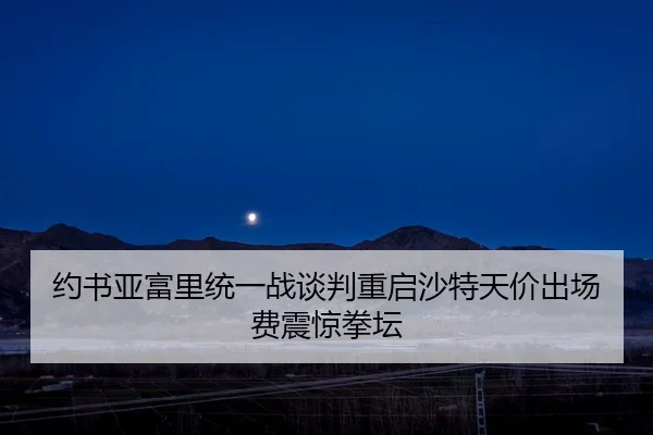 约书亚富里统一战谈判重启沙特天价出场费震惊拳坛